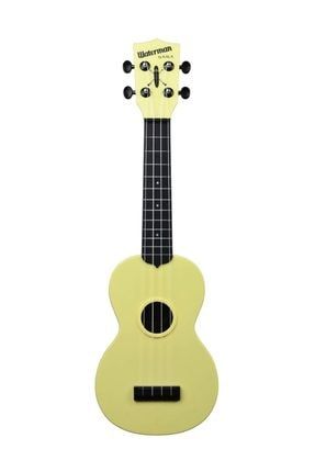 Ukulele shop waterman kala