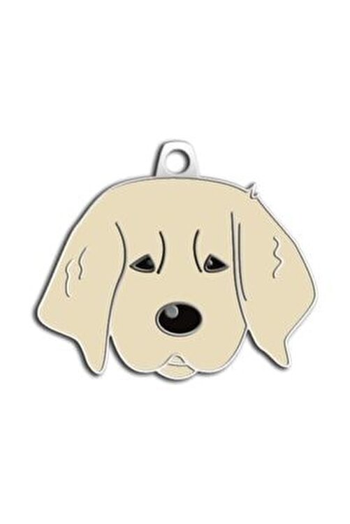 Dalis Pet Tag Yavru Golden Kopek Kunyesi Fiyati Yorumlari Trendyol