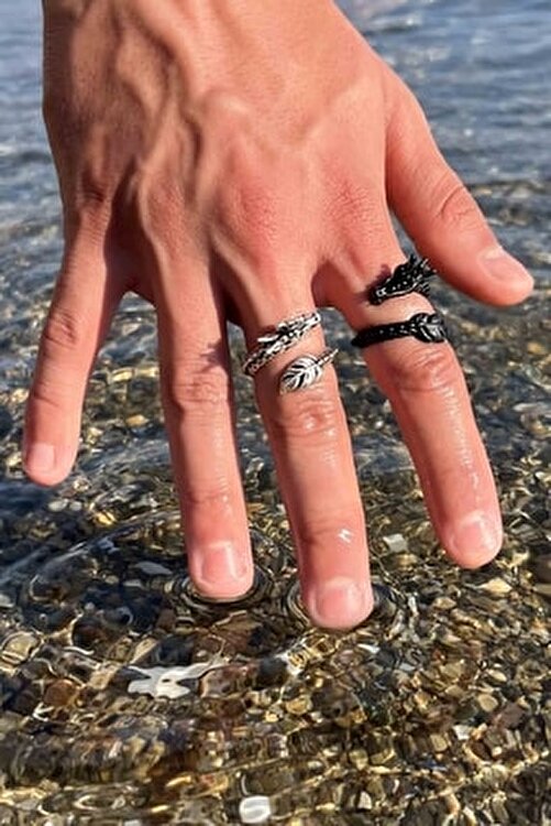 gümüş ve siyah ejderhalar