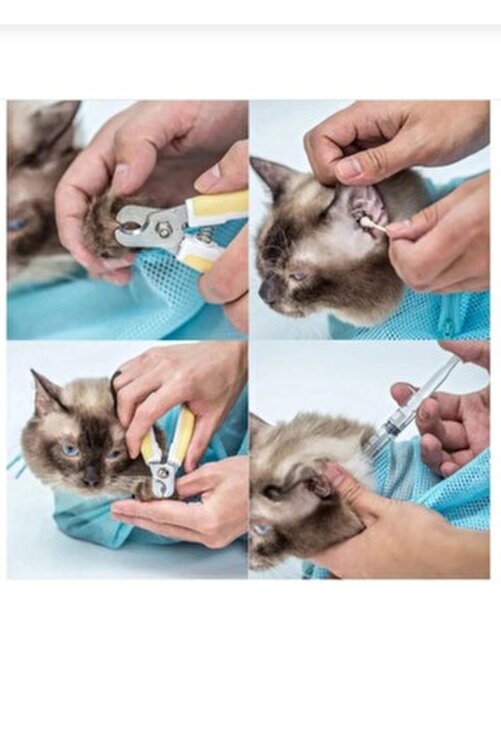 evcil hayvan fareleri kapşonlu