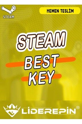 Steam Random (best) Key LDR200238