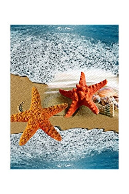 resmiro deniz yildizi desenli dijital baskili hali fiyati yorumlari trendyol