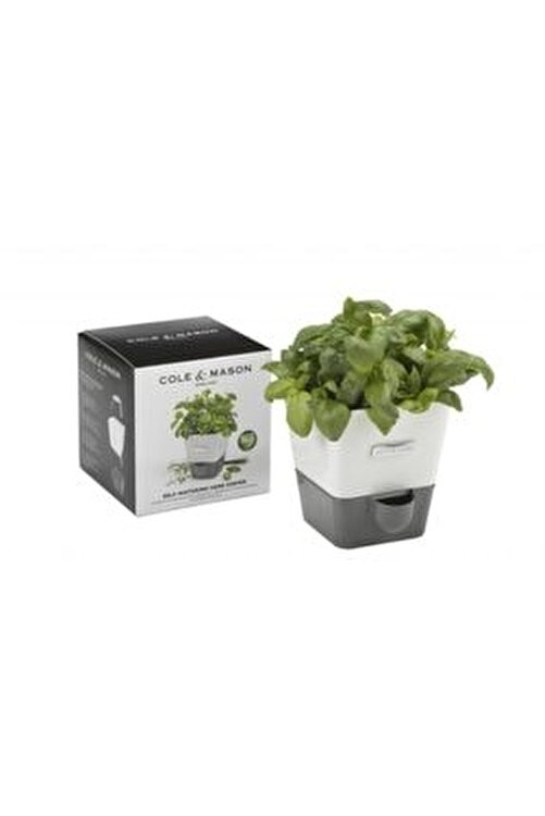 cole and mason cole mason h105249 yesillik saklama kabi fiyati yorumlari trendyol