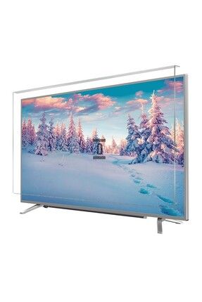 Sunny SN65FIL208 Uyumlu Tv Ekran Koruyucu Düz (Flat) Ekran YBST0946