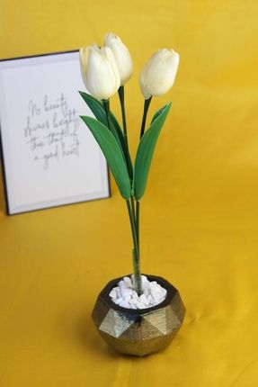Dekoratif Aksesuar Lale 3 lü Çiçek Taş Gold Gölgeli Saksı