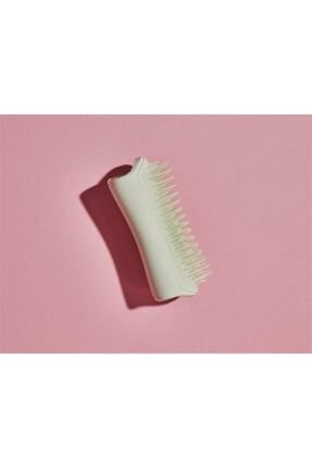 Pet teezer detangling online brush