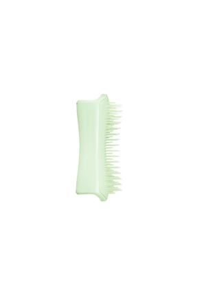 Pet teezer brush store