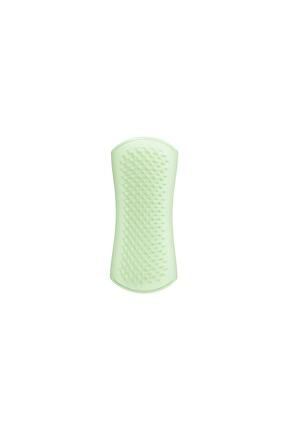 Pet teezer top brush