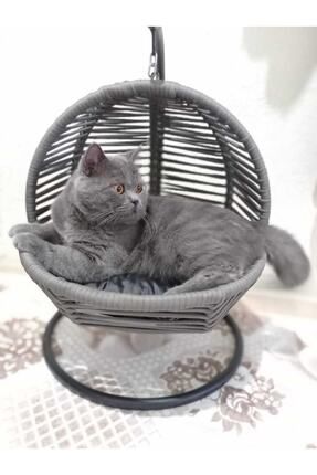 Kedi Salıncağı & Kedi Yatağı (sabitleme Aparatlı)