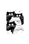 Confused Cats White Women's T-Shirt - 2