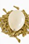 Skin Color Champagne Mini Balloon 5 Inch 10 Pieces