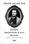 The Raven - Edgar Allan Poe 9786257319973 - 2