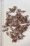 Beads Assortment Copper Color Necklace and Bracelet Papagan Clip 25 Pieces – Beads, Stylish Design – Beads - 3