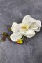 Orchid Scalloped Outer Shooting Bridal Hairpin for the Most Beautiful Brides – Crown, Crystal Stone, Stylish Model – Crown - 2