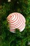 Premium Collection Luxury 15 cm Large Ball Candy Ornament Decorative Christmas Ornament - 3