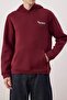 Burgundy Regular/Normal Cut Back Printed Sweatshirt Tmnaw24Sw00101 - 3