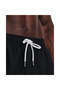 Men's Ua Icon Volley Shorts 1377191-001 - 4