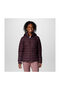Wk8123 Powder Lite Ii Hooded Jacket - 7