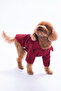 Pet Ekose Desenli Köpek Gömleği/Kıyafeti TPHAW26MS00000 - 3