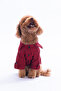 Pet Ekose Desenli Köpek Gömleği/Kıyafeti TPHAW26MS00000 - 4