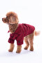 Pet Ekose Desenli Köpek Gömleği/Kıyafeti TPHAW26MS00000 - 5