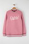 Pembe Regular/Normal Kesim Triko Bantlı Nakışlı Sweatshirt TMNAW26SW00066 - 2