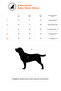 Pet Kapüşonlu Gri Melanj Köpek Sweatshirt TPHAW26KF00003 - 8
