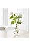 17 cm Small Glass Flower Vase - a Quality
