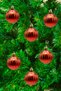 New Year's 12-Piece 5cm Cici Ball Matte Christmas Tree Ornament - 5