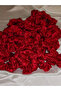 50-Piece Red Buckle Henna Set - 2