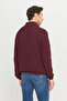 Men's Burgundy Cotton Standard Fit Regular Cut Bato Collar Jacquard Knitwear Sweater - 6