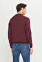 Men's Burgundy Cotton Zippered Mock Neck Knitwear Cardigan Jacket Standard Fit Regular Cut - 6