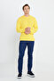 Men's Yellow Anti-Pilling Standard Fit Regular Cut Crew Neck Knitwear Sweater - 2