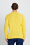 Men's Yellow Anti-Pilling Standard Fit Regular Cut Crew Neck Knitwear Sweater - 6