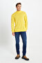 Men's Yellow Non-Pilling Standard Fit Normal Cut Half Turtleneck Knitwear Sweater - 2