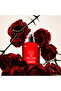 Amor Amor Women's Eau De Toilette 30 ml3360373063697 - 6