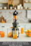 Inox Slow Juicer Solid Fruit Extractor - 3