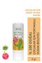 100% Natural Kids Lip Nourishing Orange Herbal Moisturizing Lip Care Cream 6 G