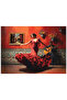 1000 Piece Jigsaw Puzzle - Flamenco 1204 - 2