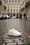 White Women's Sneaker 20810 - 2