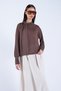 Women's Brown High-Neck Transparent Blouse with Fixed Scarf Detail Alc-X15154