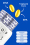 زيت السمك أوميغا 3 |   محتوى عالٍ من EPA و DHA - 500 ملغ 60 كبسولة - 4