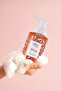 Moisturizing Purifying Liberty Foam Soap 300 ml - 5