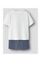 * NMMVIGOR SS NREG TOP SET - 2