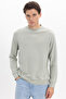 Unisex Standard Fit Regular Cut Long Extra Soft Modal Fabric Crew Neck Green Sweatshirt