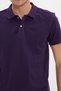 Men's Slim Fit 100% Cotton Short Sleeve Polo Collar Purple T-Shirt - 5