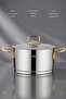 20 cm 3.2 Liter Induction Compatible Bomonti Stainless Steel Deep Pot with Gold Handle Ckr3469