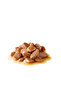 Instinctive Gravy Pouch Adult Cat Canned 85 g - 2