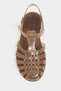 Anderline Transparent Brown Belt Detail Women's Sandals - 7