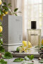 700 عطر رجالي EDP ORIENTAL 50 مل - 4